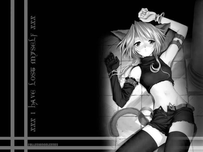 neko !.jpg